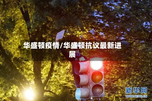 华盛顿疫情/华盛顿抗议最新进展-第3张图片