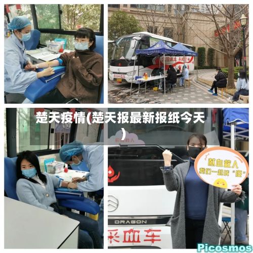 楚天疫情(楚天报最新报纸今天)-第3张图片