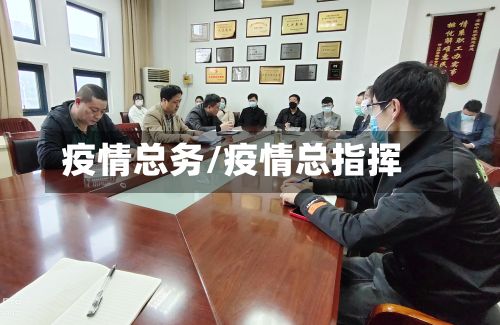 疫情总务/疫情总指挥-第2张图片