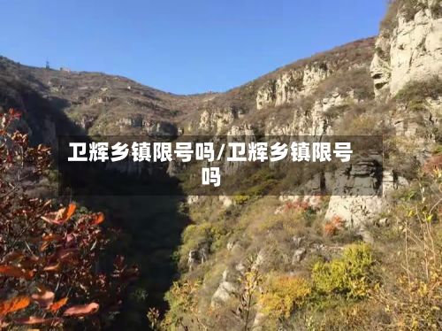 卫辉乡镇限号吗/卫辉乡镇限号吗-第2张图片