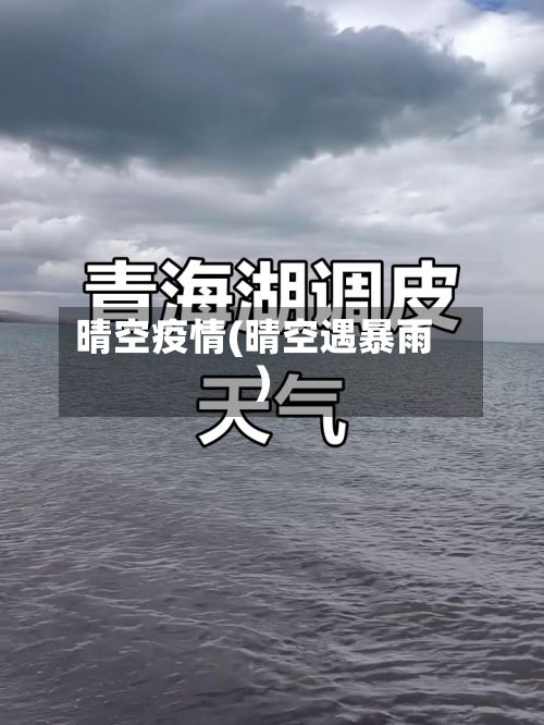 晴空疫情(晴空遇暴雨)-第3张图片