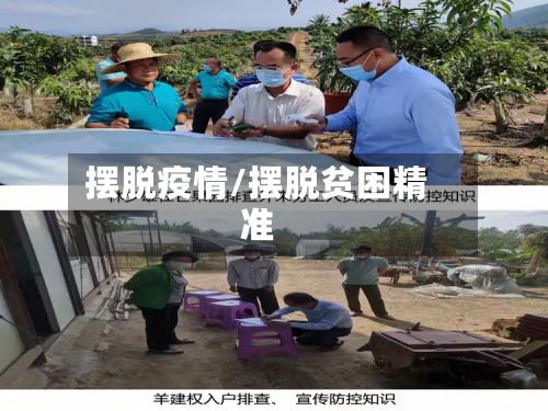 摆脱疫情/摆脱贫困精准