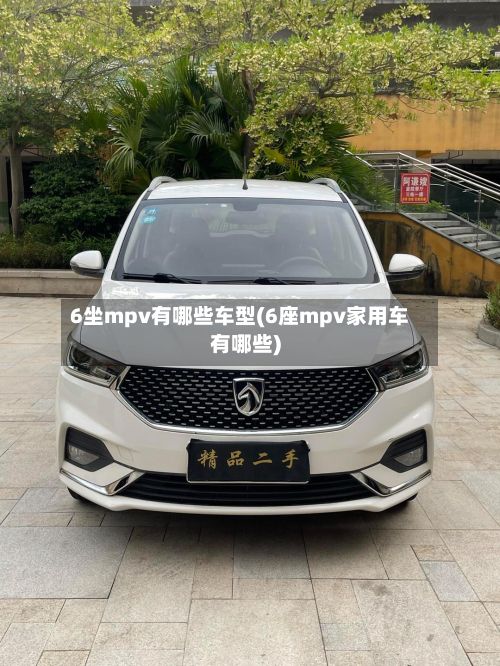 6坐mpv有哪些车型(6座mpv家用车有哪些)