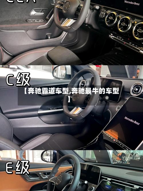 【奔驰霸道车型,奔驰最牛的车型】-第2张图片