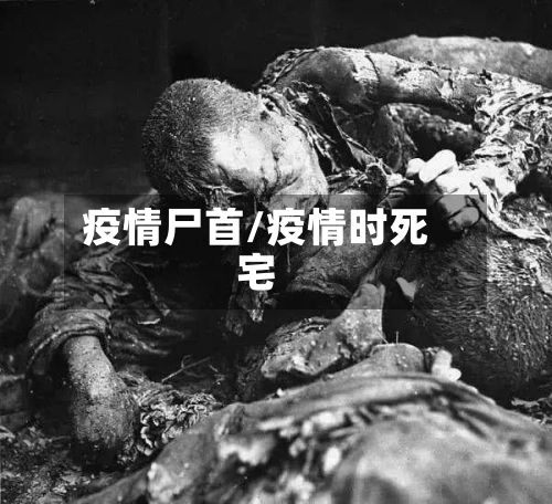 疫情尸首/疫情时死宅