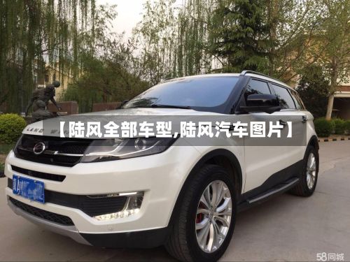 【陆风全部车型,陆风汽车图片】-第2张图片