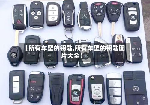 【所有车型的钥匙,所有车型的钥匙图片大全】