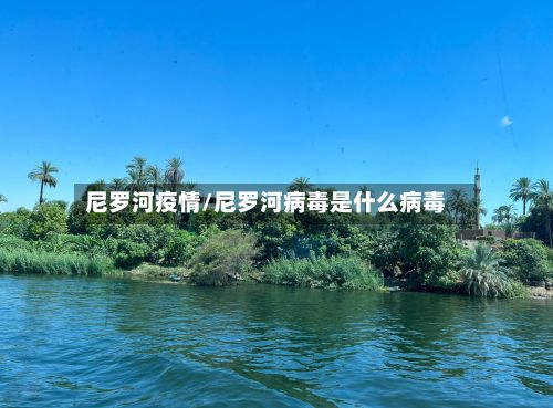 尼罗河疫情/尼罗河病毒是什么病毒-第3张图片