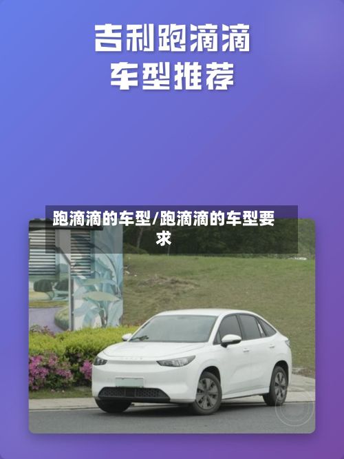 跑滴滴的车型/跑滴滴的车型要求