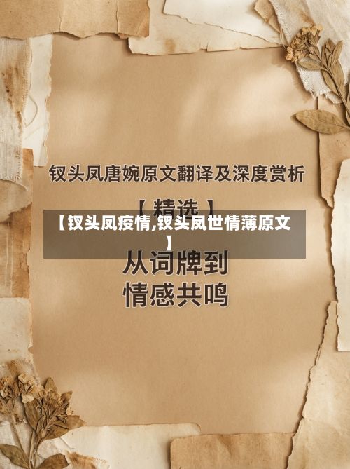 【钗头凤疫情,钗头凤世情薄原文】