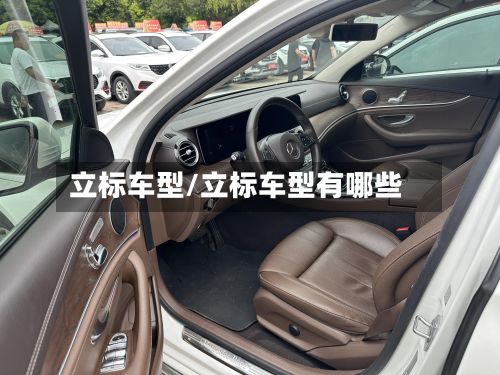 立标车型/立标车型有哪些-第3张图片