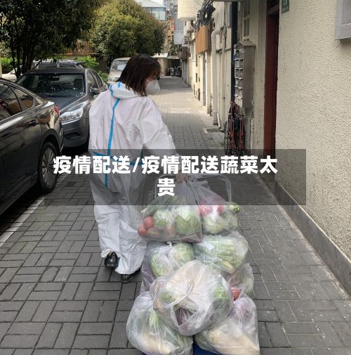 疫情配送/疫情配送蔬菜太贵-第2张图片