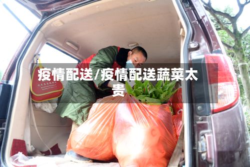 疫情配送/疫情配送蔬菜太贵