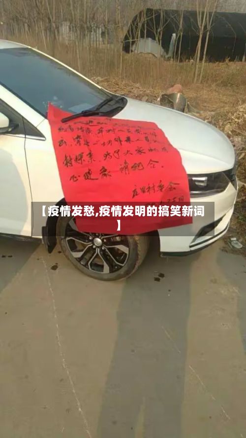【疫情发愁,疫情发明的搞笑新词】-第2张图片