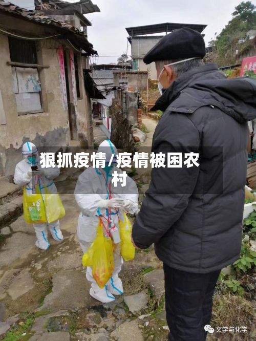狠抓疫情/疫情被困农村