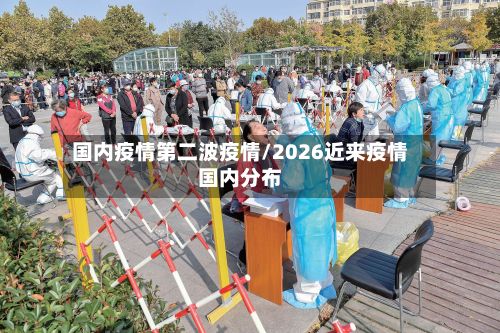 国内疫情第二波疫情/2026近来疫情国内分布