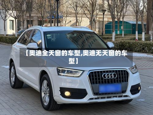 【奥迪全天窗的车型,奥迪无天窗的车型】-第2张图片