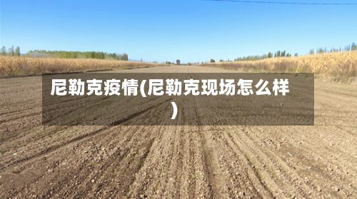 尼勒克疫情(尼勒克现场怎么样)-第2张图片