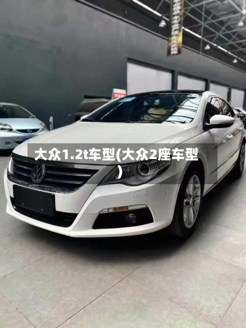 大众1.2t车型(大众2座车型)-第2张图片