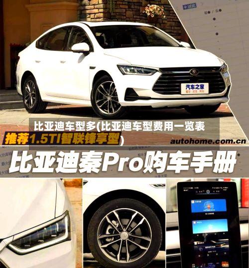 比亚迪车型多(比亚迪车型费用一览表)