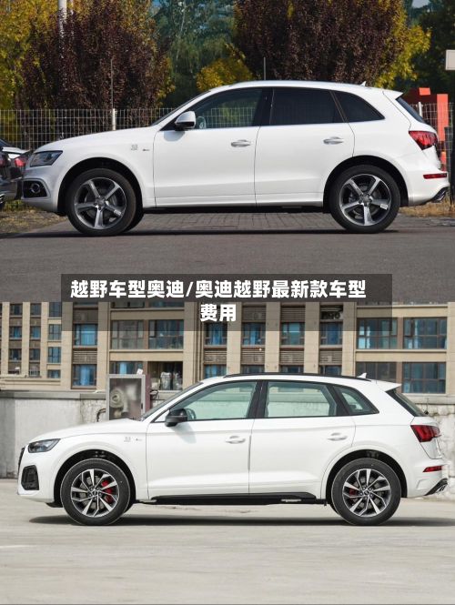 越野车型奥迪/奥迪越野最新款车型费用