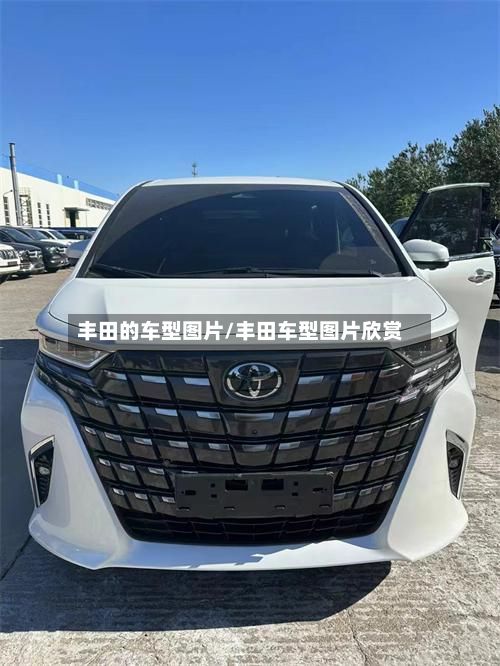 丰田的车型图片/丰田车型图片欣赏