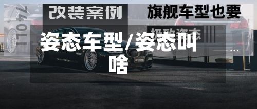 姿态车型/姿态叫啥