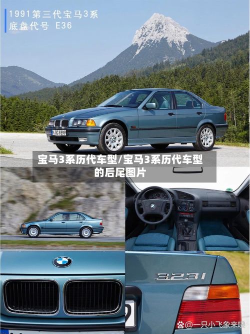 宝马3系历代车型/宝马3系历代车型的后尾图片-第2张图片