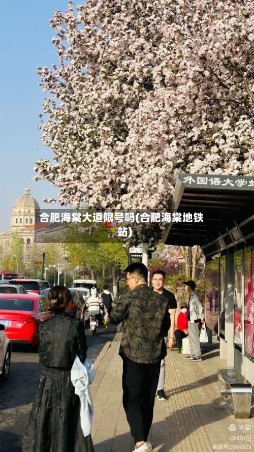 合肥海棠大道限号吗(合肥海棠地铁站)-第2张图片