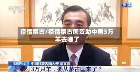 疫情蒙古/疫情蒙古国资助中国3万羊去哪了