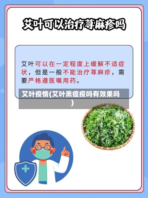 艾叶疫情(艾叶熏瘟疫吗有效果吗)