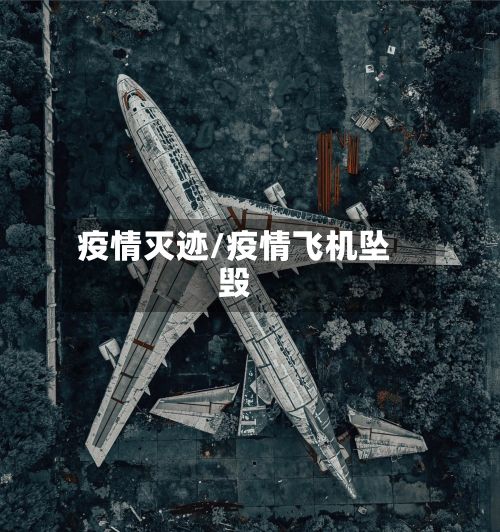疫情灭迹/疫情飞机坠毁-第2张图片