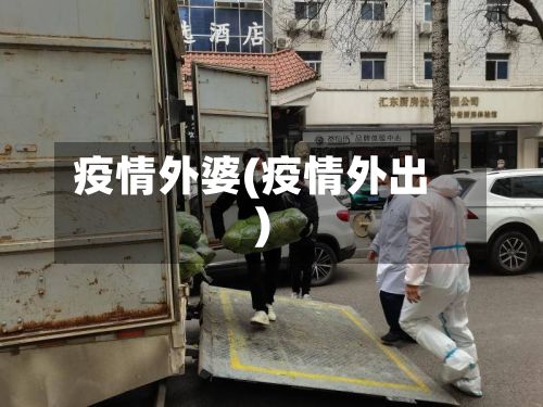 疫情外婆(疫情外出)