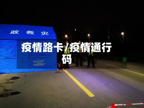 疫情路卡/疫情通行码