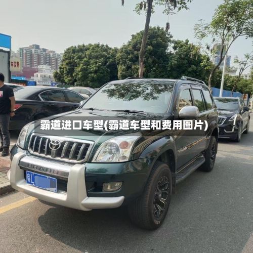 霸道进口车型(霸道车型和费用图片)-第3张图片