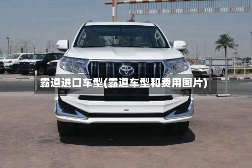 霸道进口车型(霸道车型和费用图片)-第2张图片