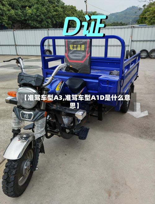 【准驾车型A3,准驾车型A1D是什么意思】