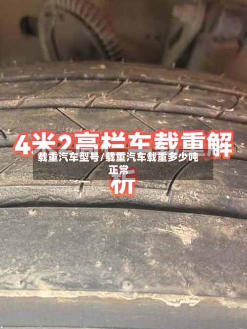 载重汽车型号/载重汽车载重多少吨正常-第2张图片