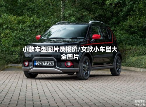 小款车型图片及报价/女款小车型大全图片-第2张图片
