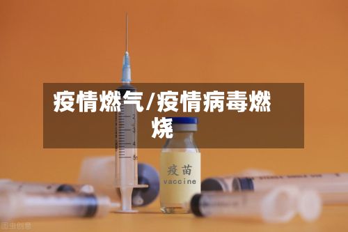 疫情燃气/疫情病毒燃烧-第2张图片