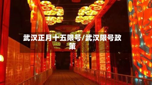 武汉正月十五限号/武汉限号政策-第3张图片