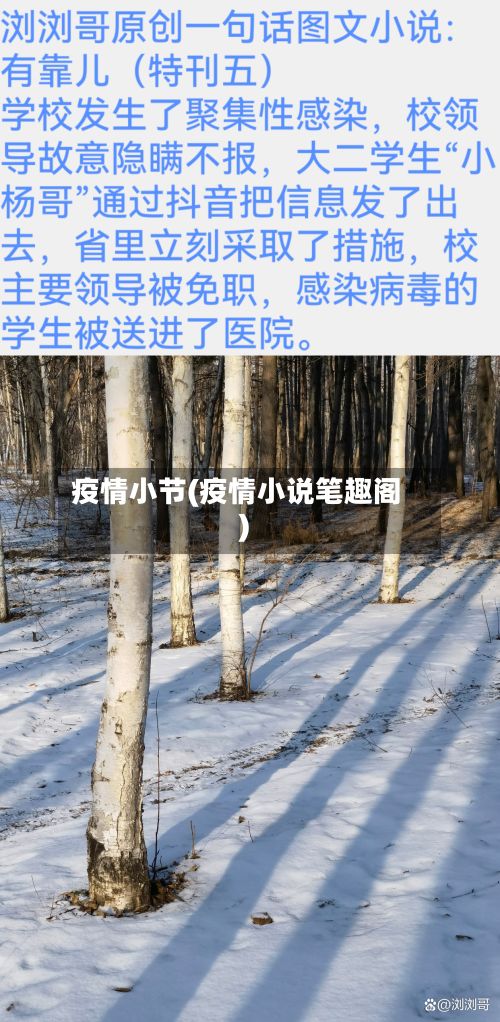 疫情小节(疫情小说笔趣阁)-第2张图片
