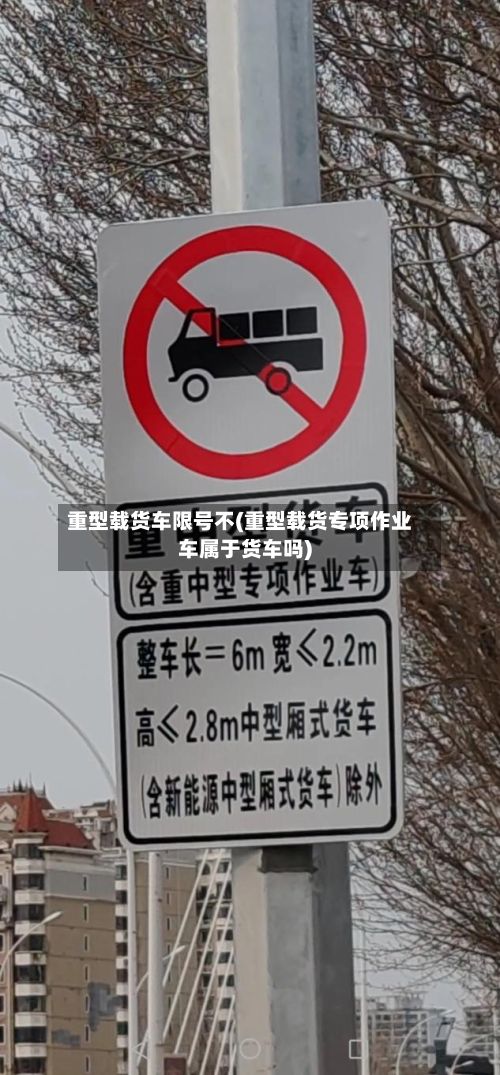 重型载货车限号不(重型载货专项作业车属于货车吗)-第2张图片