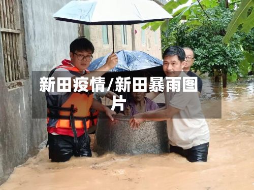 新田疫情/新田暴雨图片