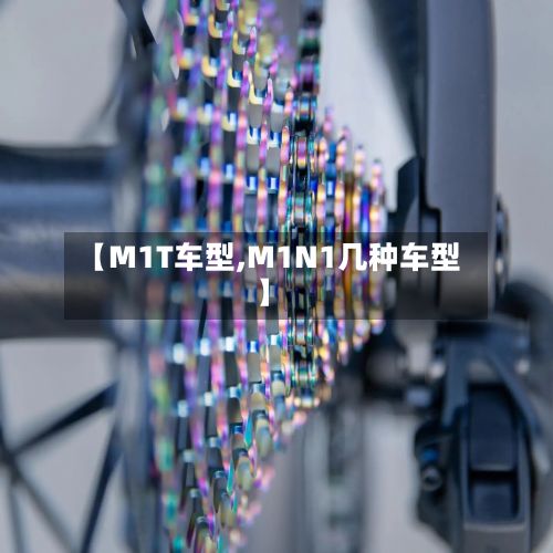 【M1T车型,M1N1几种车型】