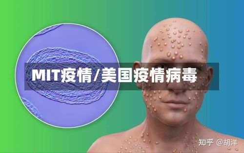 MIT疫情/美国疫情病毒