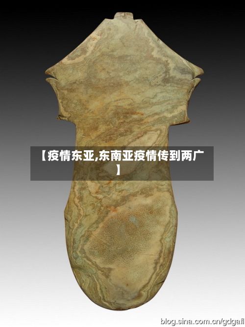 【疫情东亚,东南亚疫情传到两广】