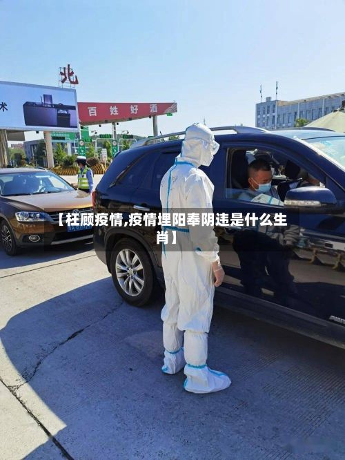 【枉顾疫情,疫情埋阳奉阴违是什么生肖】-第3张图片