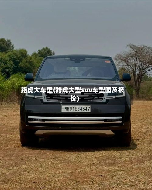 路虎大车型(路虎大型suv车型图及报价)-第2张图片