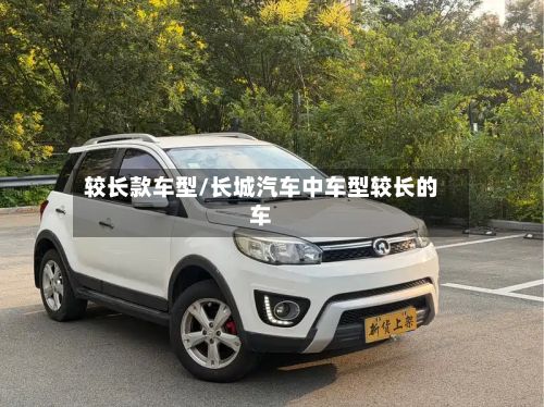 较长款车型/长城汽车中车型较长的车-第3张图片